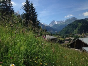 Alps Hempcrete Free food and accomodation